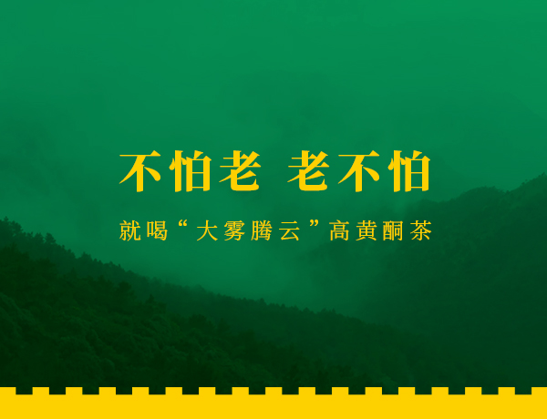 大霧騰云高黃酮茶品牌網(wǎng)站設(shè)計(jì)建設(shè)案例